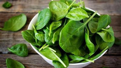 السبانخ والبروكلي.. درع طبيعي «يقوي الذاكرة» ويحارب الشيخوخة