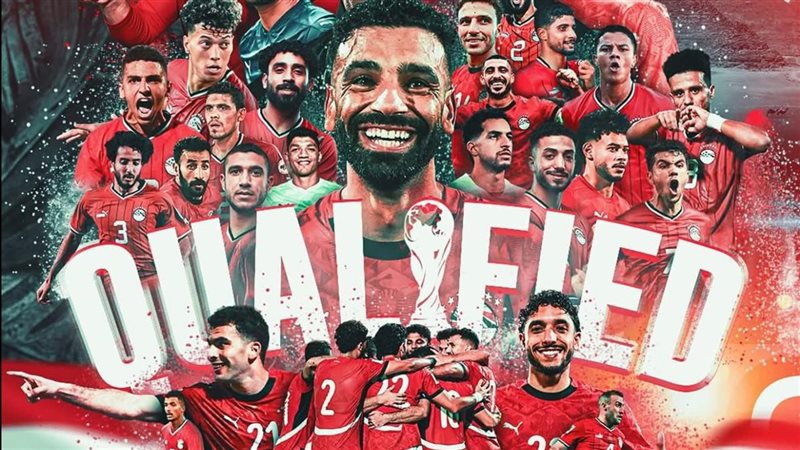 القارئ نيوز