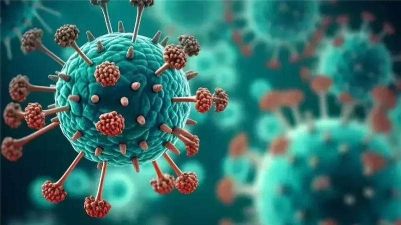 فيروس ميتانيمو