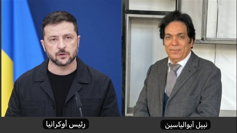 القارئ نيوز