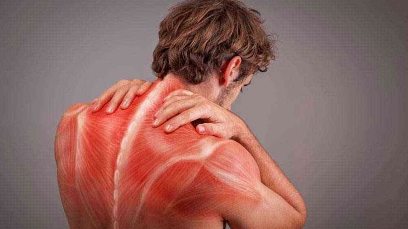 إجهاد العضلات 