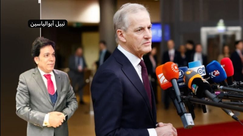 القارئ نيوز