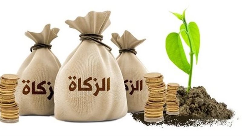 زكاة التجارة 