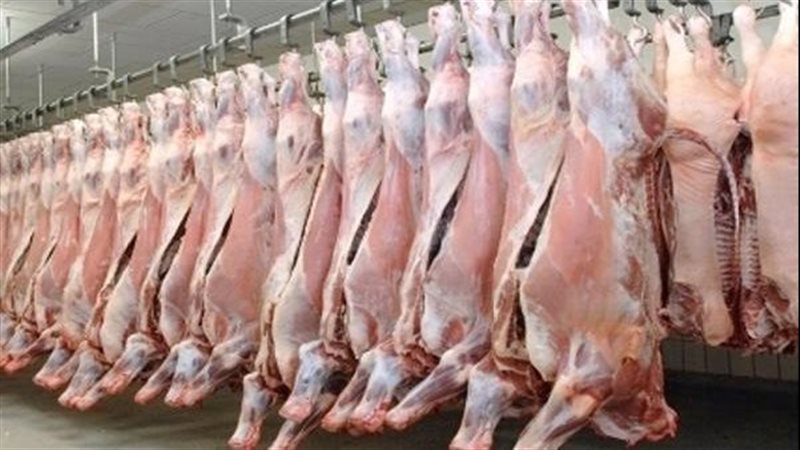 حمير مذبوحة