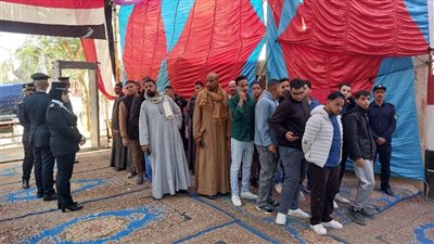  في ثلاث نقاط.. أسباب إلغاء انتخابات تلك الدوائر