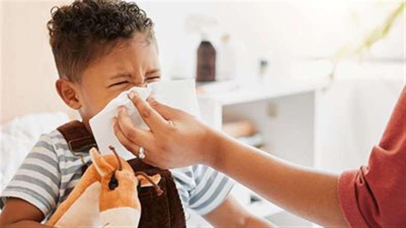 الفيروسات الموسمية