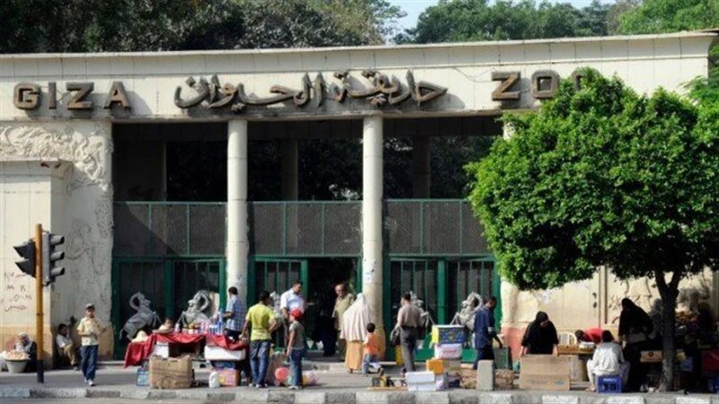حديقة الحيوان بالجيزة