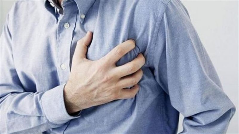 القارئ نيوز