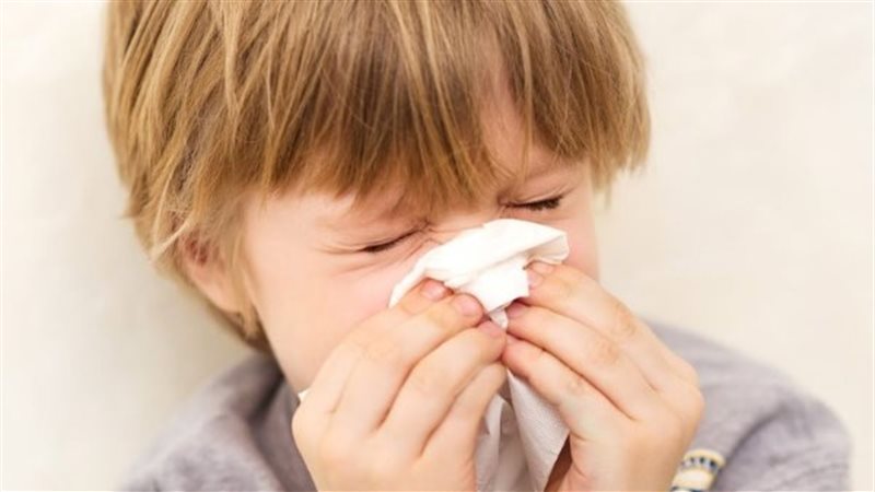 حساسية الأنف 