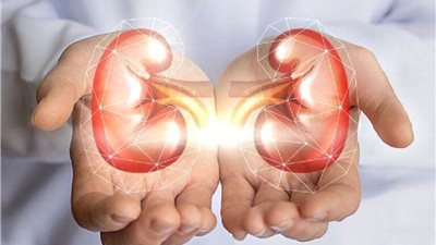 10 إشارات تحذيرية تكشف مشكلات الكلى الصحية