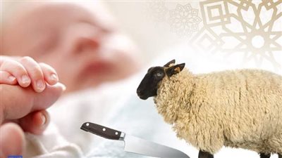  حكم الأكل من العقيقة وتقسيمها.. الإفتاء توضح 