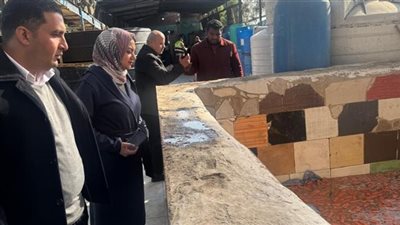 ضبط 24 طن مخللات مجهولة المصدر في حملة مكبرة بالقليوبية