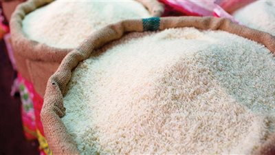 «هدوء بسوق الحبوب».. أسعار الأرز الشعير والأبيض اليوم السبت