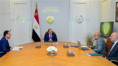الرئيس عبد الفتاح السيسي يجتمع برئيس الوزراء ووزير الكهرباء