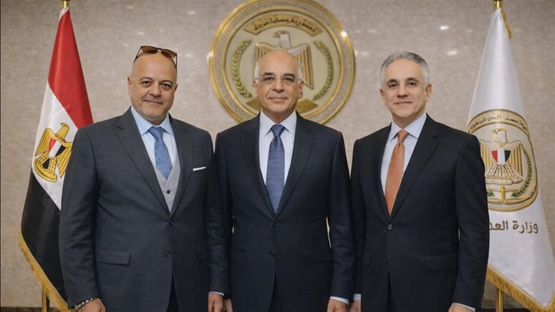 القارئ نيوز