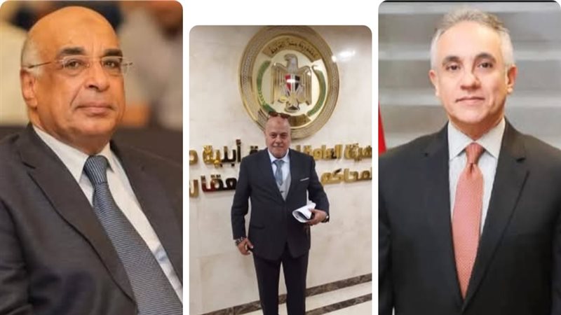 القارئ نيوز