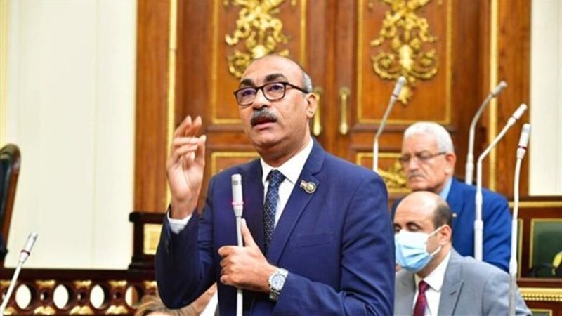 إيهاب منصور عضو مجلس النواب