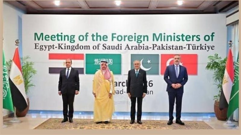 القارئ نيوز