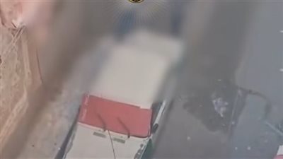 الأمن يكشف ملابسات فيديو المشاجرة بالأسلحة البيضاء في البحيرة