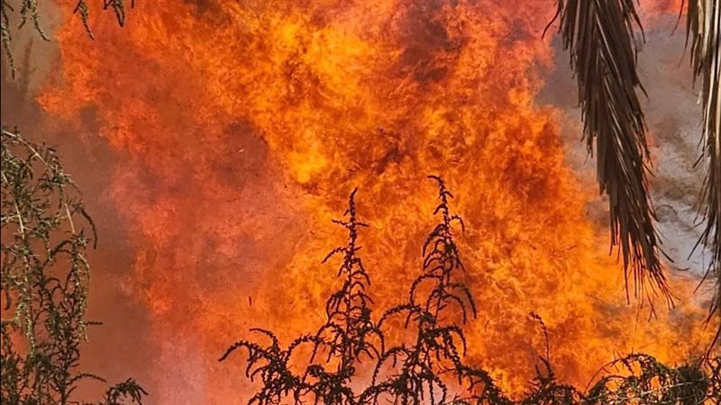 جانب من الحريق