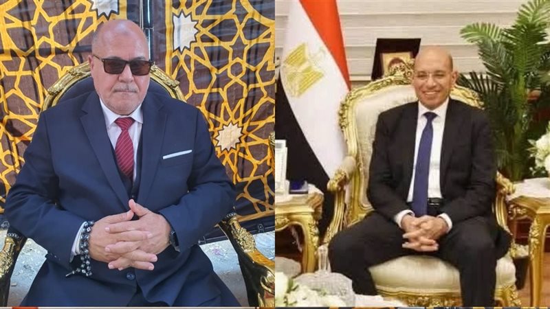 المستشار ثروت محمد 