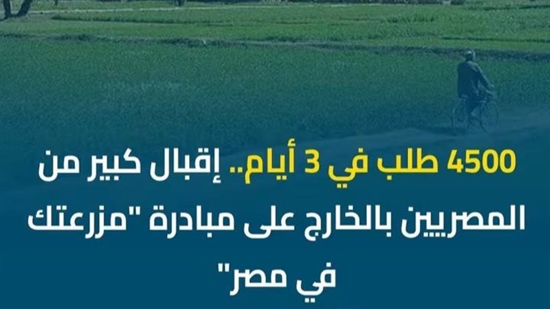القارئ نيوز