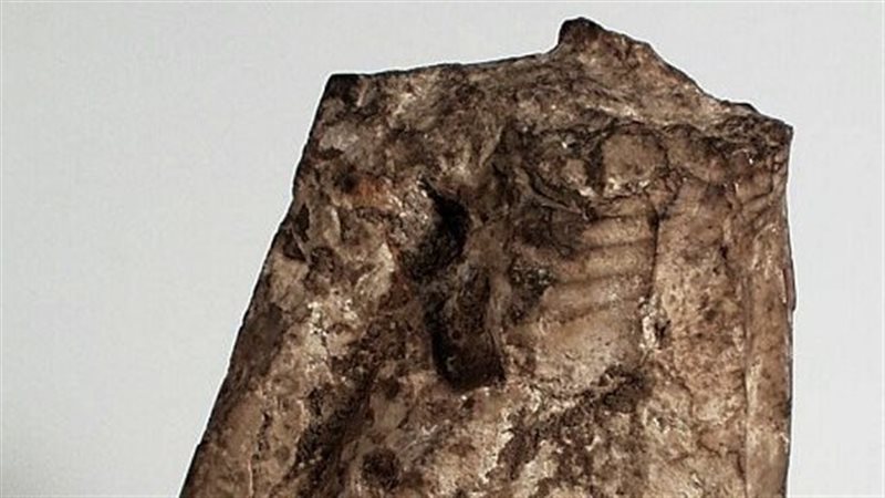  قطعة مصرية نادرة